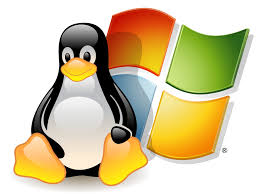 Running a Windows virtual machine on Linux using an Existing Windows Installation